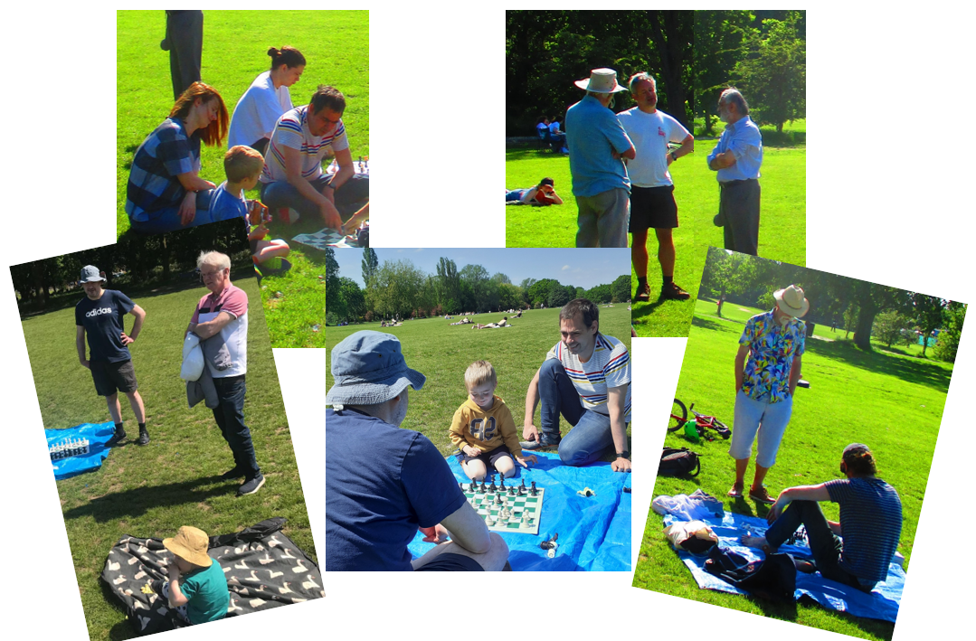 Collage of chess on the common