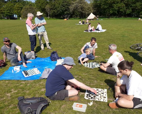 Chess on the common